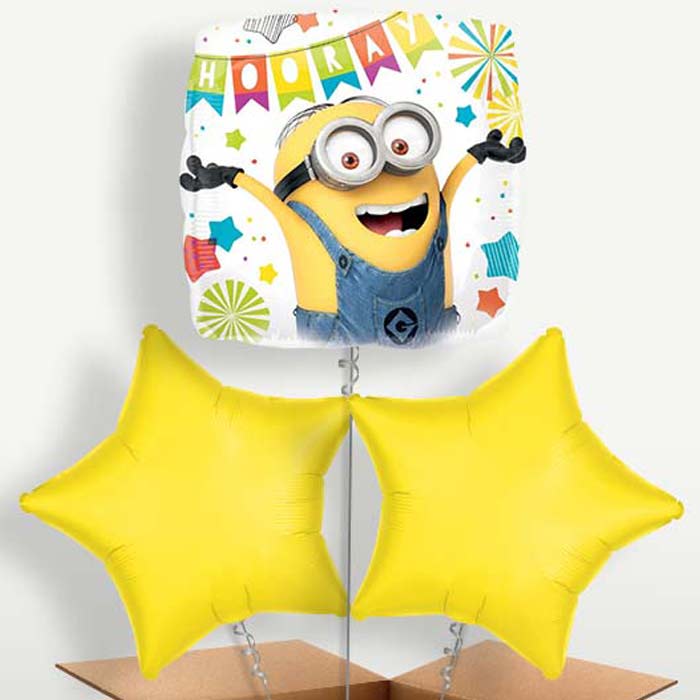 Hooray Balloons in a Bunch Inflated with Helium | Small Indoor Plants