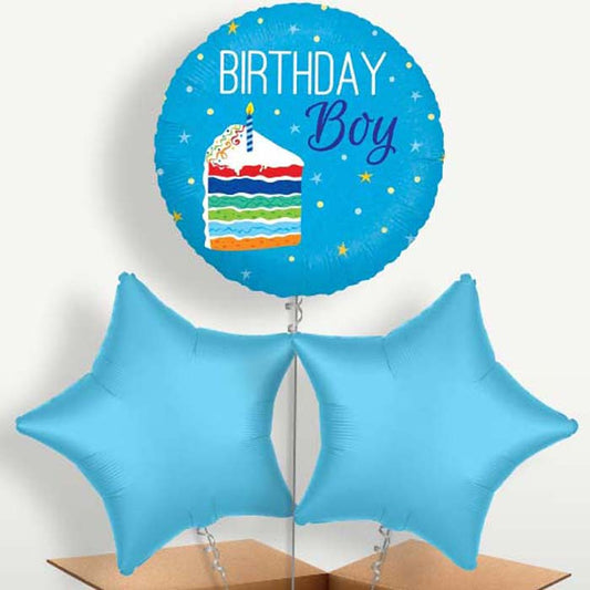 Birthday Boy Cake Blue Bunch of Balloons inflated with Helium | Small Indoor Plants