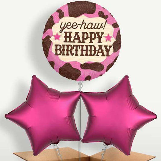 Cowgirl Yee Haw Birthday Bunch of Balloons | Small Indoor Plants