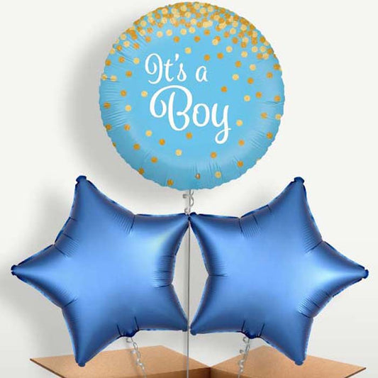 New Baby Blue Confetti Balloon Bunch inflated with Helium | Small Indoor Plants