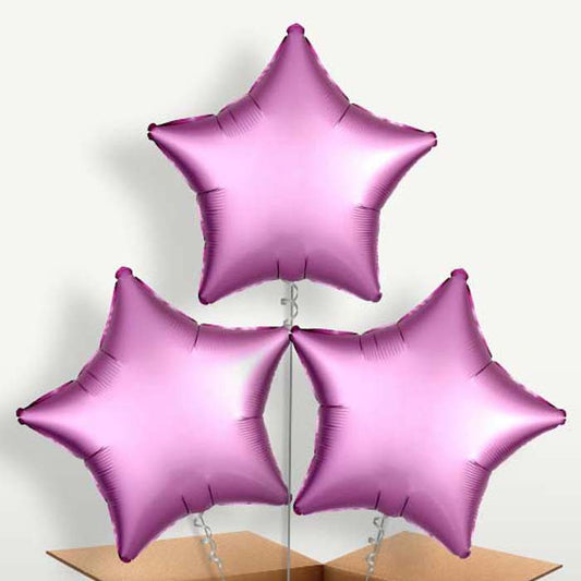 Hot Pink Flamingo Satin Star Balloons in a Bunch | Small Indoor Plants