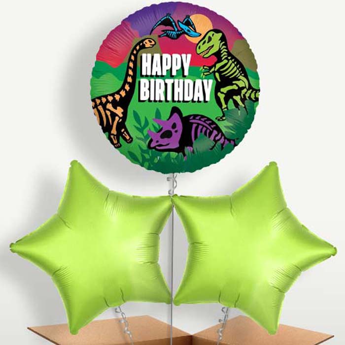 Jurassic Birthdays Balloon Bunches inflated with Helium | Small Indoor Plants