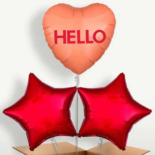 Hello Candy Heart Balloons in a Bunch Inflated with Helium | Small Indoor Plants