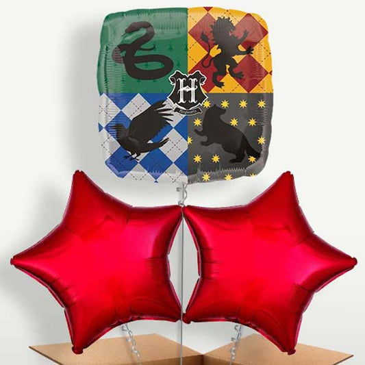 Harry Potter Hogwarts Balloons in a Bunch | Small Indoor Plants