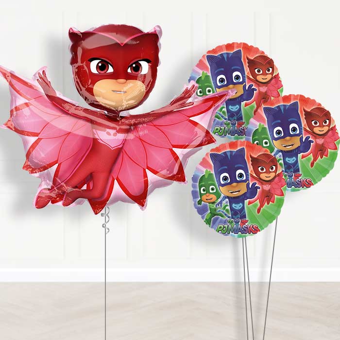PJ Masks Owlette Inflated Helium Balloons Delivered - Themed Bouquet | Small Indoor Plants