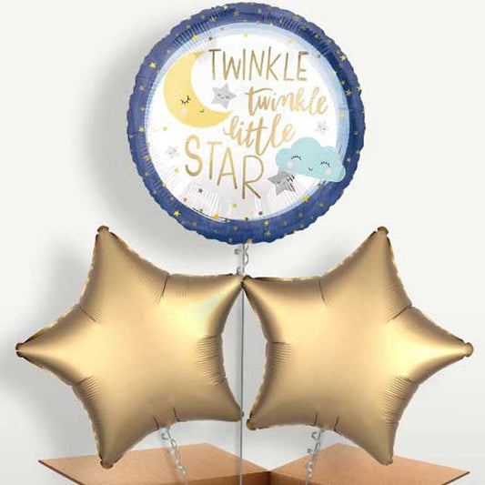 Twinkle Twinkle Little Star Bunch of Balloons | Small Indoor Plants