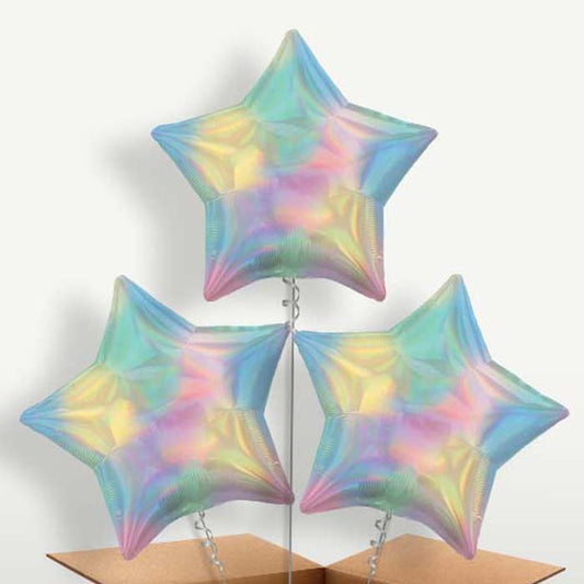 Pastel Rainbow Iridescent Star Balloon Bunch | Small Indoor Plants