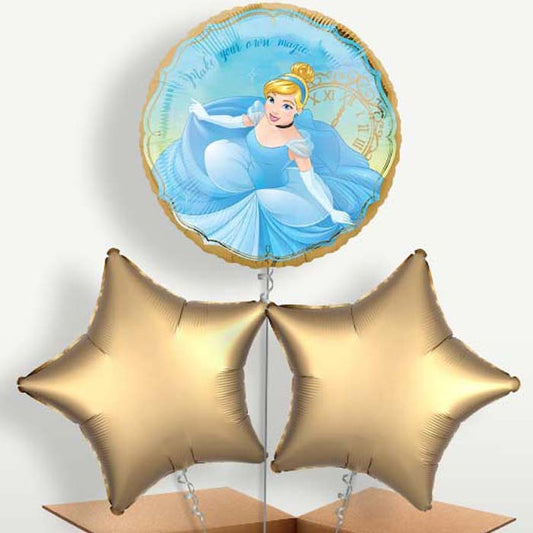 Cinderella Bunch of Balloons inflated with Helium | Small Indoor Plants