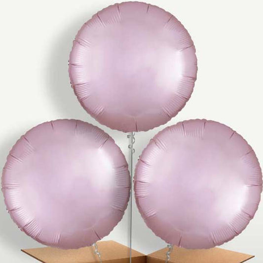 Pastel Pink Satin Circle Balloon Bunch | Small Indoor Plants