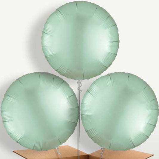 Mint Green Satin Circle Balloon Bunches inflated with Helium | Small Indoor Plants