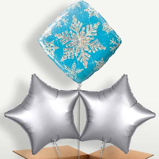 Holographic Blue Snowflakes Balloons in a Bunch | Small Indoor Plants