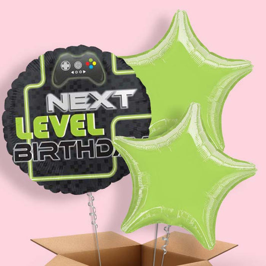 Level Up Gaming Balloons Delivered in a Box - 3 Balloon | Small Indoor Plants