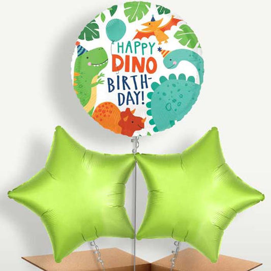 Happy Birthday Dino Balloons in a Bunch Inflated with Helium | Small Indoor Plants