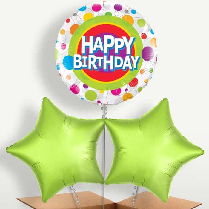 Happy Birthday Dots Balloons in a Bunch Inflated with Helium | Small Indoor Plants