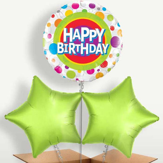 Happy Birthday Dots Balloons in a Bunch Inflated with Helium | Small Indoor Plants