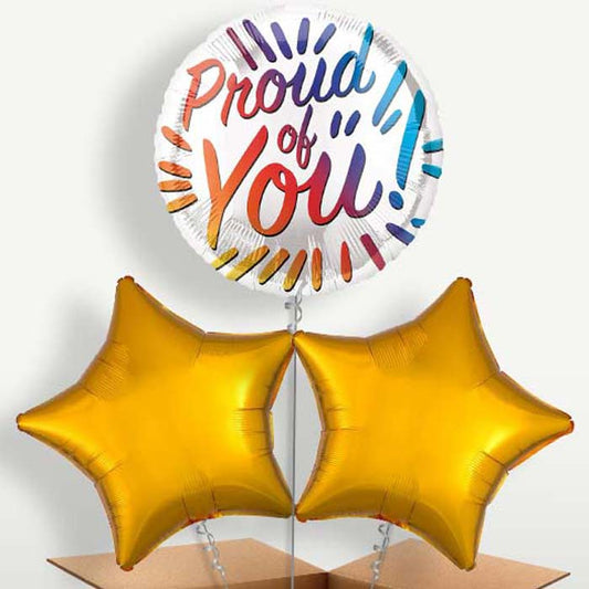 Proud Of You Rainbow Trio Balloon Bunch | Small Indoor Plants