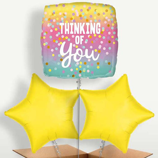 Thinking of You Pastel Dots Helium Bunch of Balloons | Small Indoor Plants
