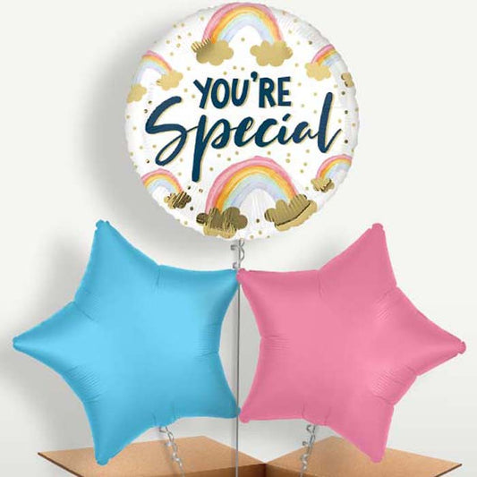 You're Special Rainbow Helium Bunch of Balloons | Small Indoor Plants