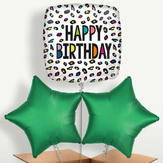 Leopard Print Happy Birthday Balloon Bunches | Small Indoor Plants