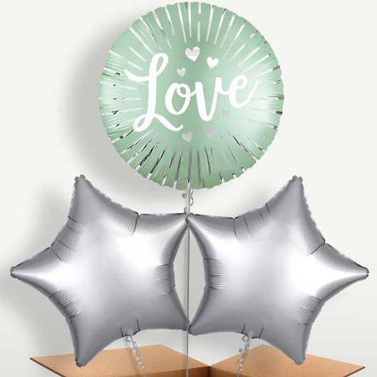 Mint Satin Love Burst Balloon Bunches inflated with Helium | Small Indoor Plants