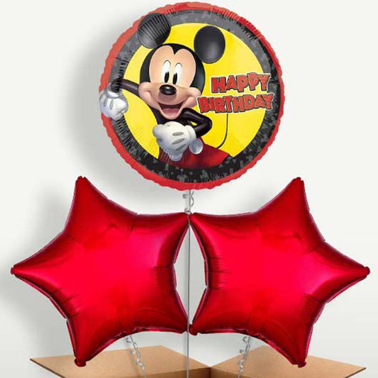 Mickey Mouse Forever Happy Birthday Balloon Bunches | Small Indoor Plants