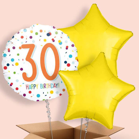 30th Birthday Helium Balloon Delivery - Rainbow - 3 Balloon | Small Indoor Plants
