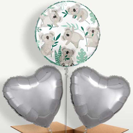 Koala Balloon Bunches inflated with Helium | Small Indoor Plants