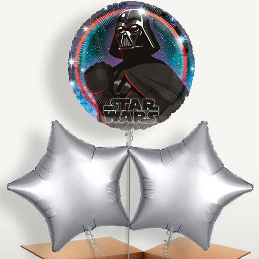 Darth Vader Bunch of Balloons inflated with Helium | Small Indoor Plants