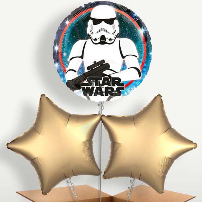 Storm Trooper Helium Bunch of Balloons | Small Indoor Plants