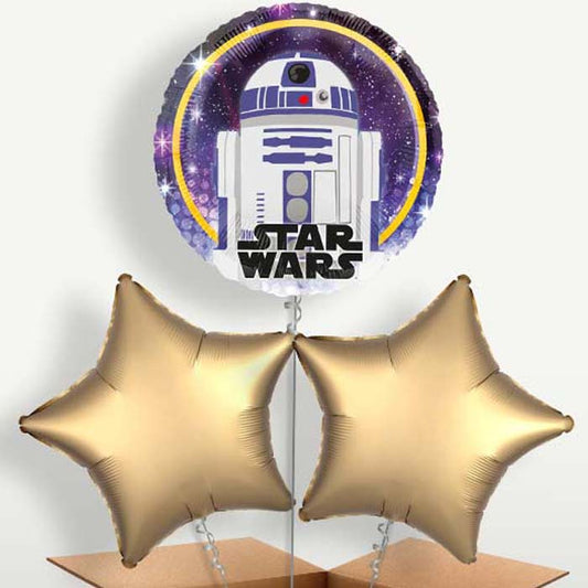 Star Wars R2D2 Helium Bunch of Balloons | Small Indoor Plants