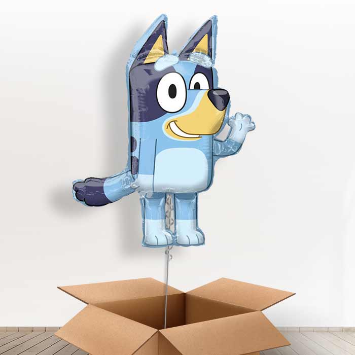 Shaped Foil Bluey Balloon in a Box Gift - Giant Balloon | Small Indoor Plants