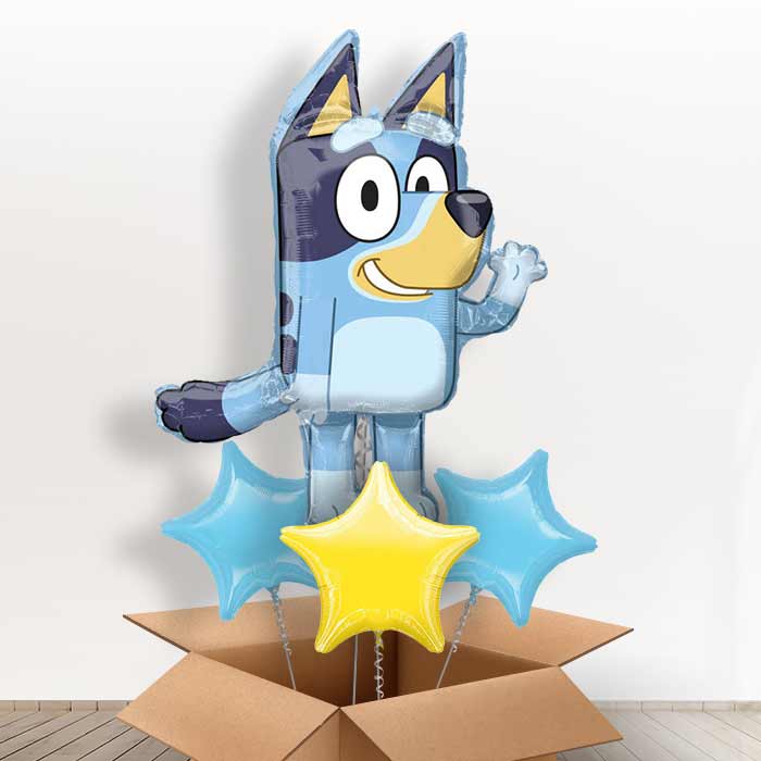 Shaped Foil Bluey Balloon in a Box Gift - With 3 Plain Balloons | Small Indoor Plants