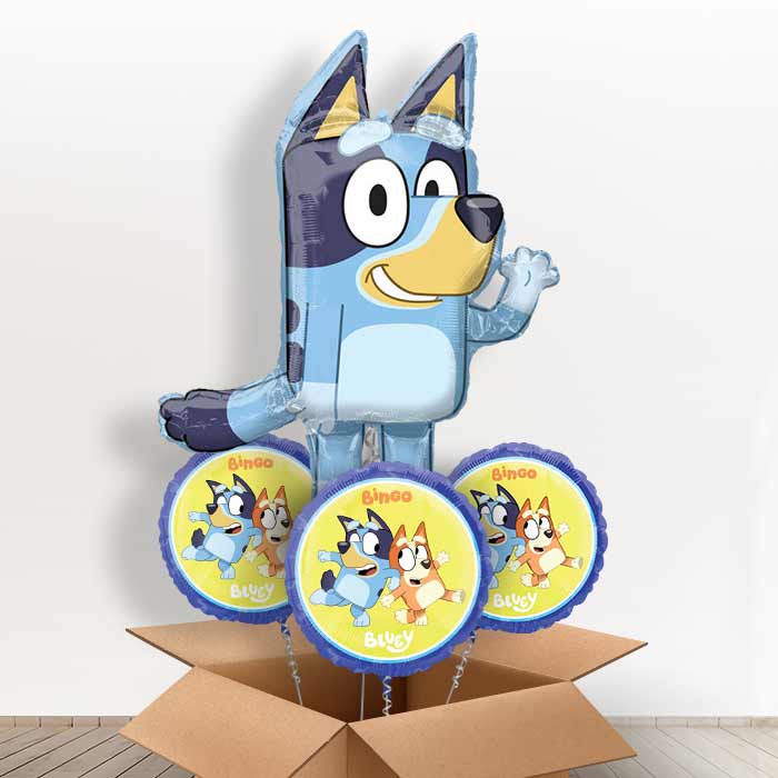 Shaped Foil Bluey Balloon in a Box Gift - With 3 Themed Balloons | Small Indoor Plants