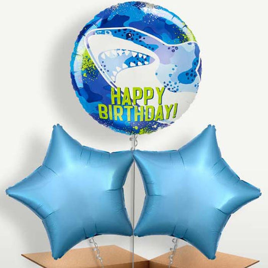 Shark Birthday Helium Bunch of Balloons | Small Indoor Plants