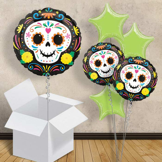 Day of the Dead Balloons in a Box - 1 Balloon | Small Indoor Plants