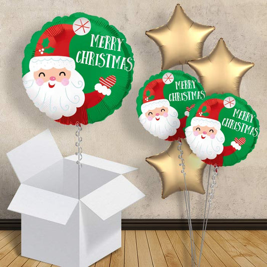 Merry Christmas | Santa Balloon in a Box - 1 Balloon | Small Indoor Plants