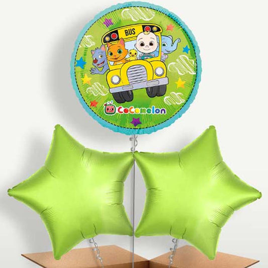 Cocomelon Bunch of Balloons inflated with Helium | Small Indoor Plants