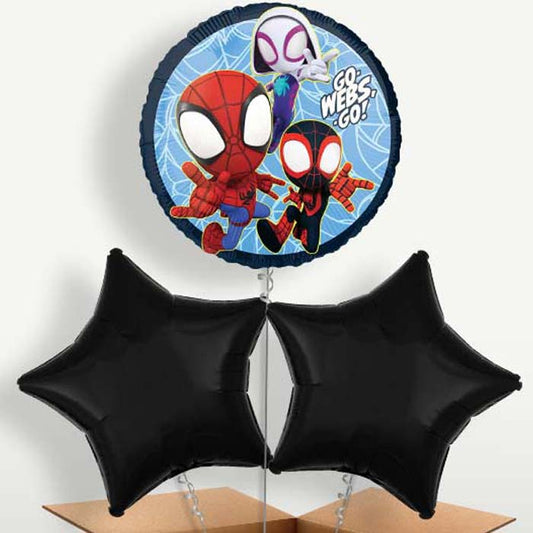 Spidey & Ghost Helium Bunch of Balloons | Small Indoor Plants