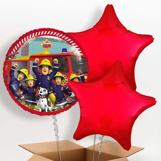Fireman Sam and Friends Foil Balloon in a Box - 3 Balloon | Small Indoor Plants