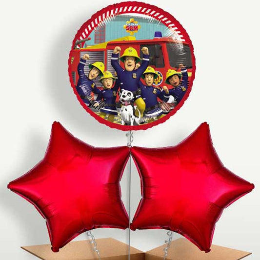 Fireman Sam & Friends Trio Balloon Bunch | Small Indoor Plants