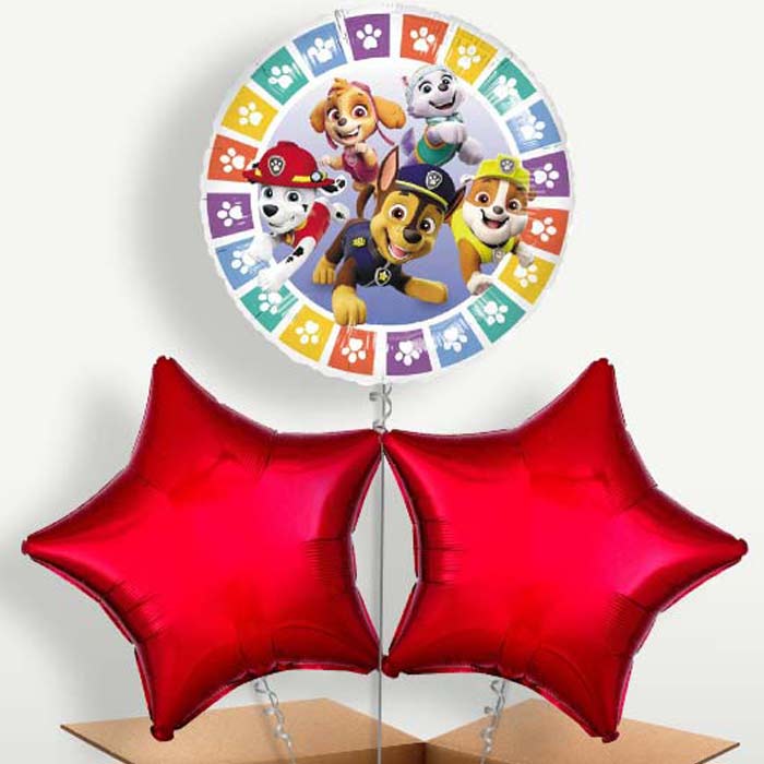 Colourful Paw Patrol Bunch of Balloons inflated with Helium | Small Indoor Plants