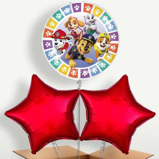 Colourful Paw Patrol Bunch of Balloons inflated with Helium | Small Indoor Plants