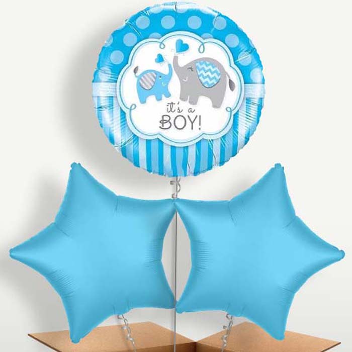 Welcome Home Baby Boy Elephant Helium Bunch of Balloons | Small Indoor Plants