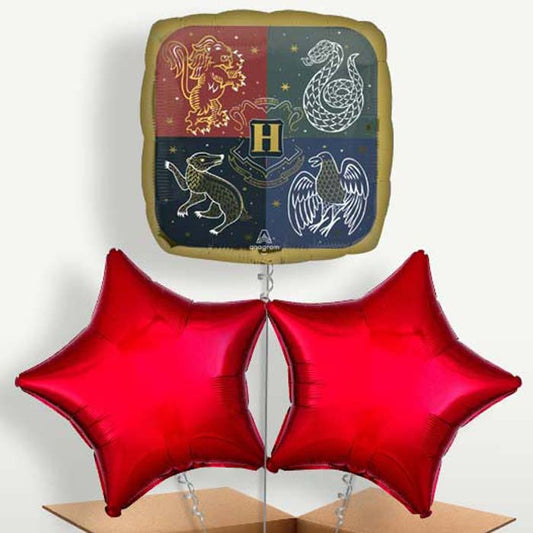 Harry Potter Hogwarts Crest Balloons in a Bunch | Small Indoor Plants