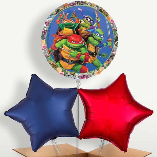 Teenage Mutant Ninja Turtles Helium Bunch of Balloons | Small Indoor Plants