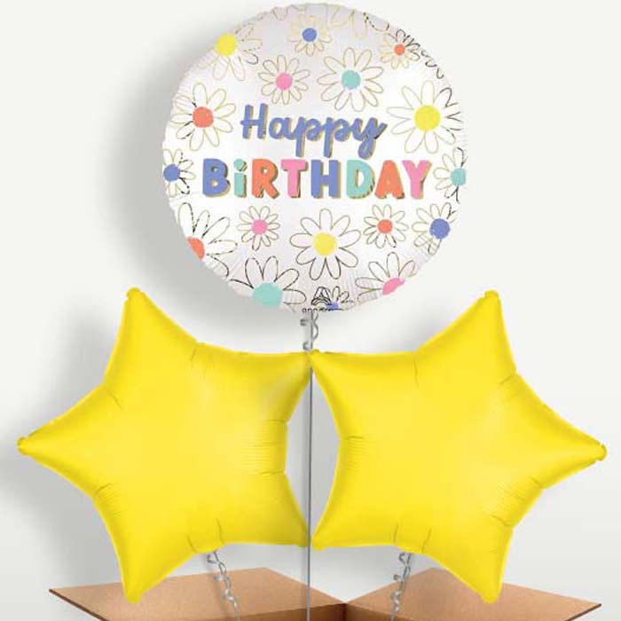 Satin Daisy Happy Birthday Helium Bunch of Balloons | Small Indoor Plants