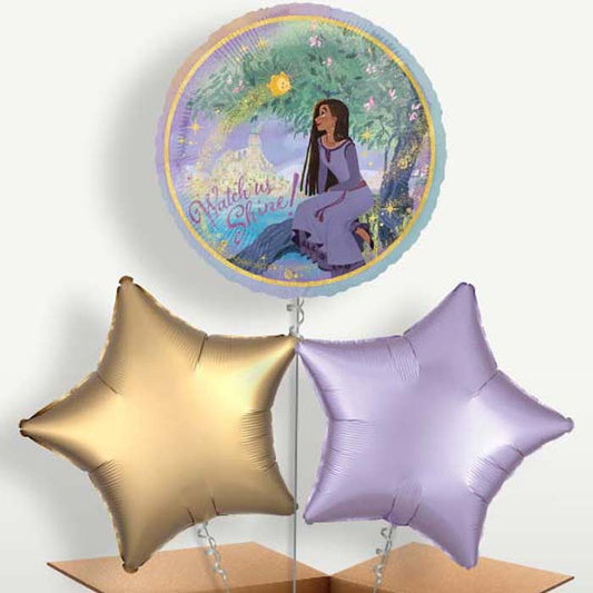 Disney Wish Trio Balloon Bunch inflated with Helium | Small Indoor Plants