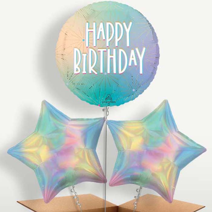 Pastel Dream Happy Birthday Balloon Bunch | Small Indoor Plants