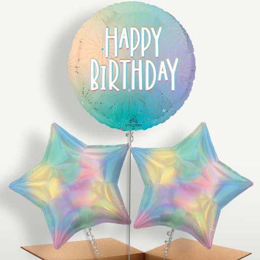 Pastel Dream Happy Birthday Balloon Bunch | Small Indoor Plants