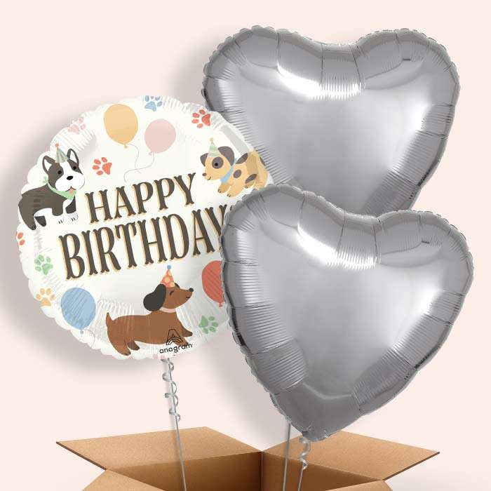 BOX4655601-3-Balloons_cd1a08a1-d239-4b49-8d76-51b496ff89ae